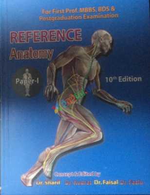 Reference Anatomy