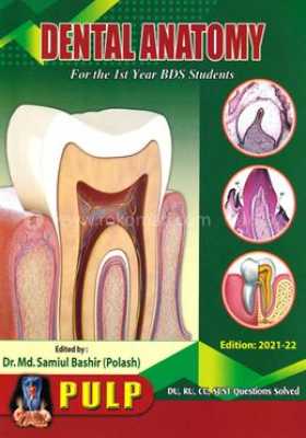 Pulp: Dental Anatomy